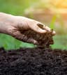 Phoenix Fertilizers And Traders