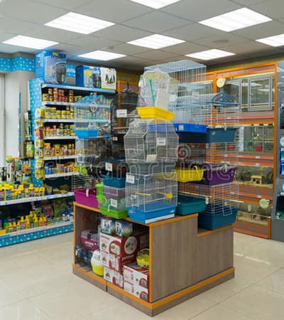Surya pets
