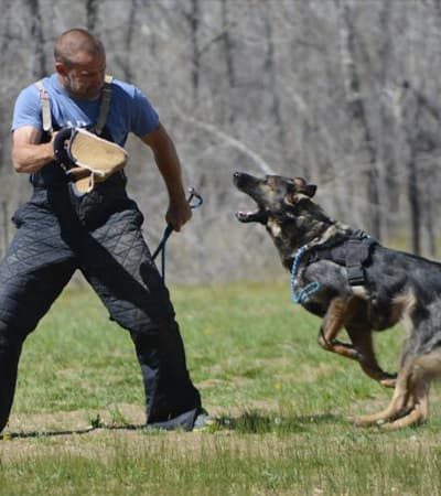Saajan Saji Cyriac K9 Training School