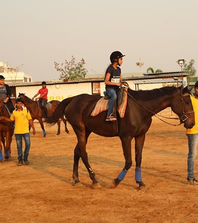Stallion's Valley Horse Riding Academy