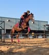 Horse riding hub