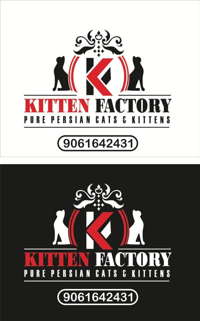 KITTENS FACTORY 