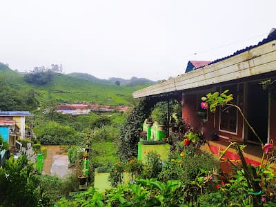 Familycare Homestay 