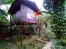 Lo Adoro Tree Hut Tourist Homestays