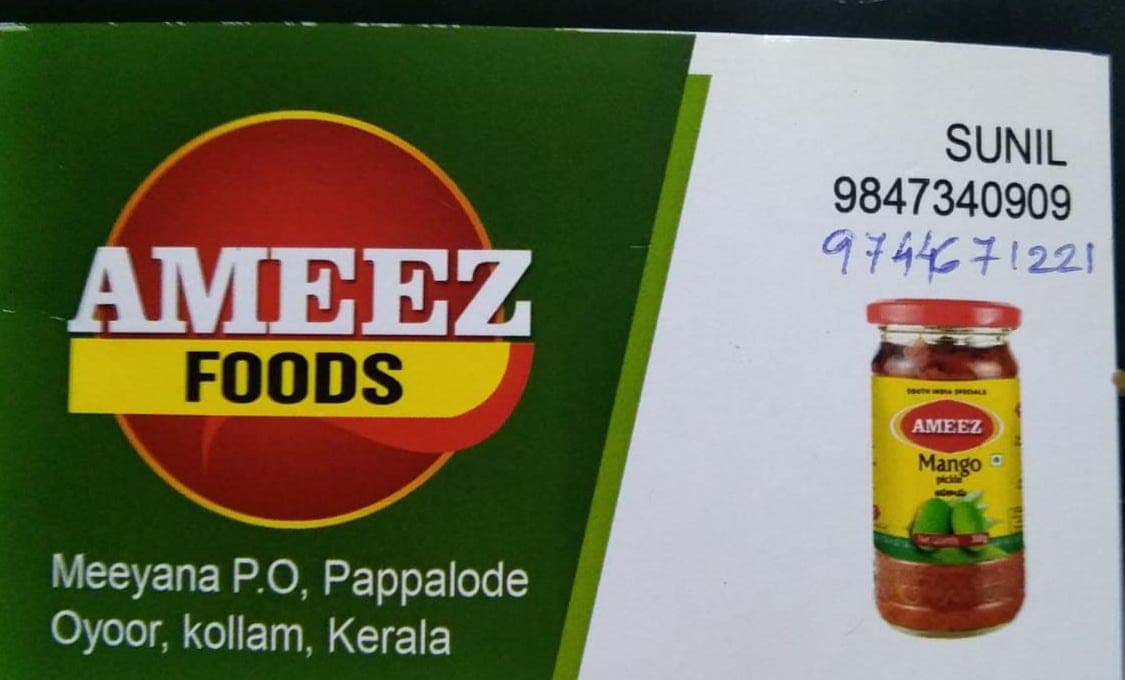 Ameez foods