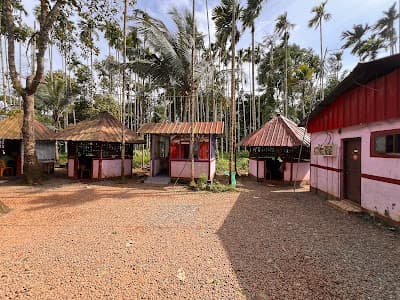 Thuruthikuzhy Mini Resort